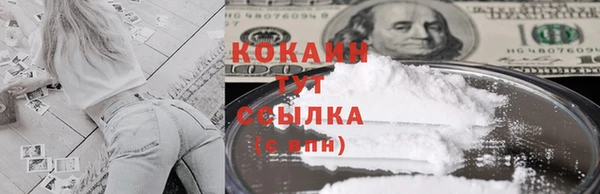 дживик Богданович