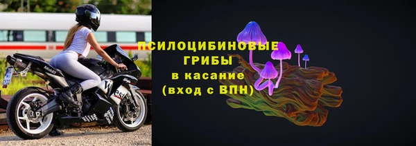 mdpv Богородск