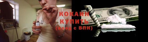 стафф Богородицк