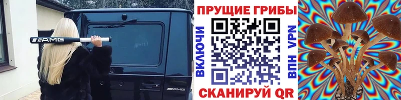 Псилоцибиновые грибы ЛСД kraken рабочий сайт площадка официальный сайт Екатеринбург